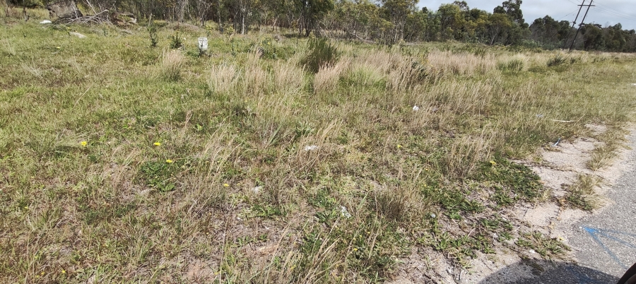 0 Bedroom Property for Sale in Greenbushes Eastern Cape